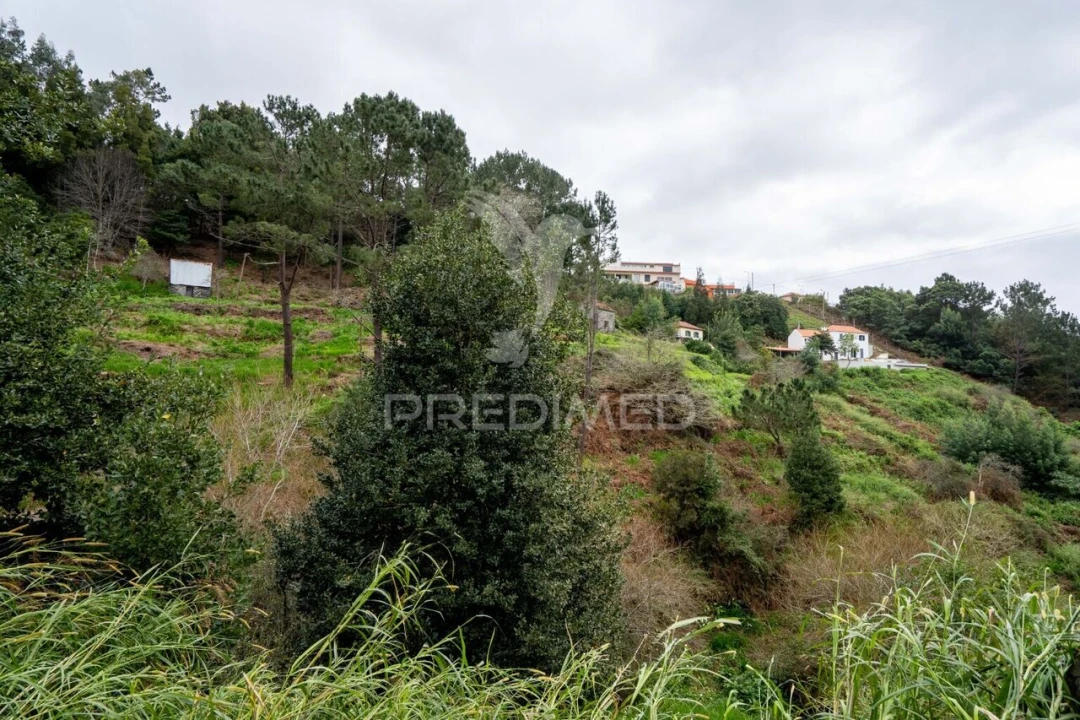 Terreno para Venda em Santo Antonio da Serra Foto 7