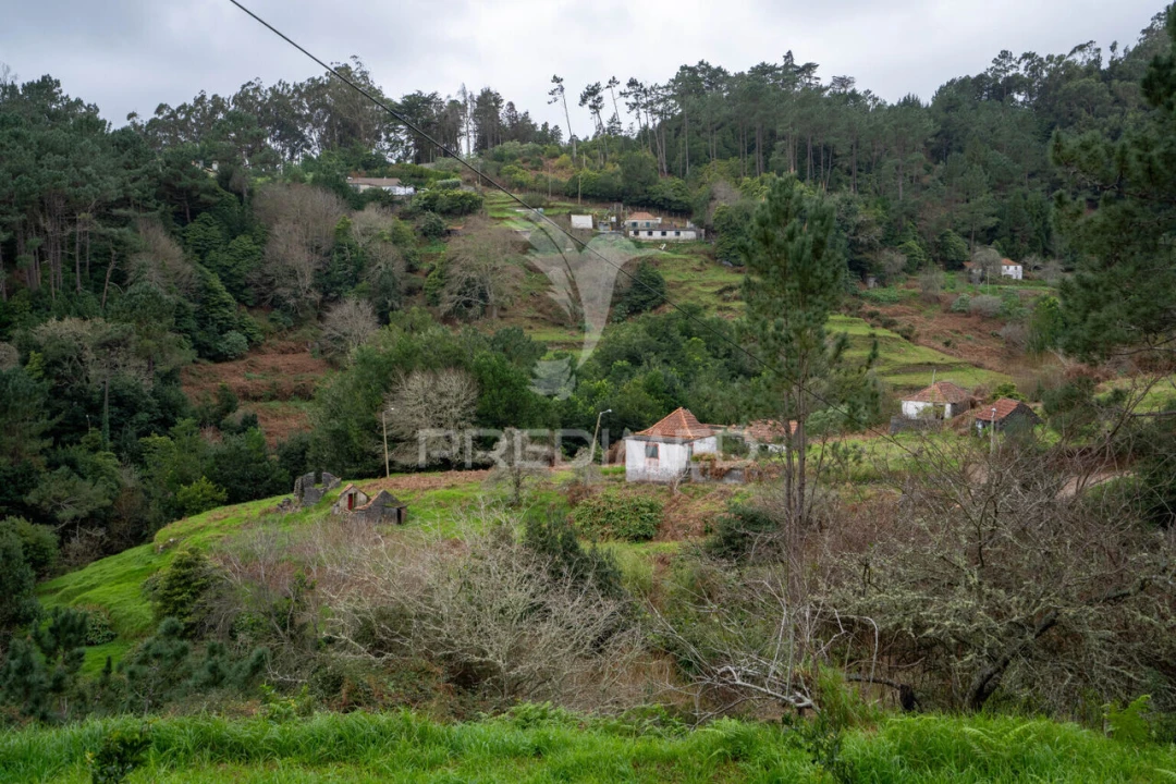 Terreno para Venda em Santo Antonio da Serra Foto 4