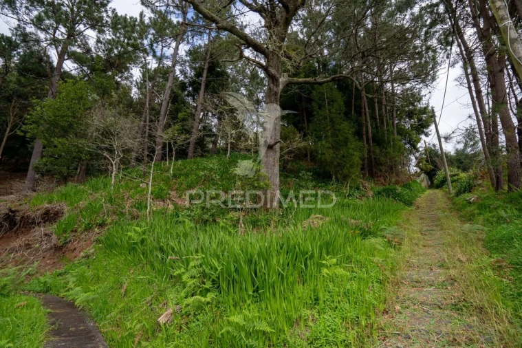Terreno para Venda em Santo Antonio da Serra Foto 11