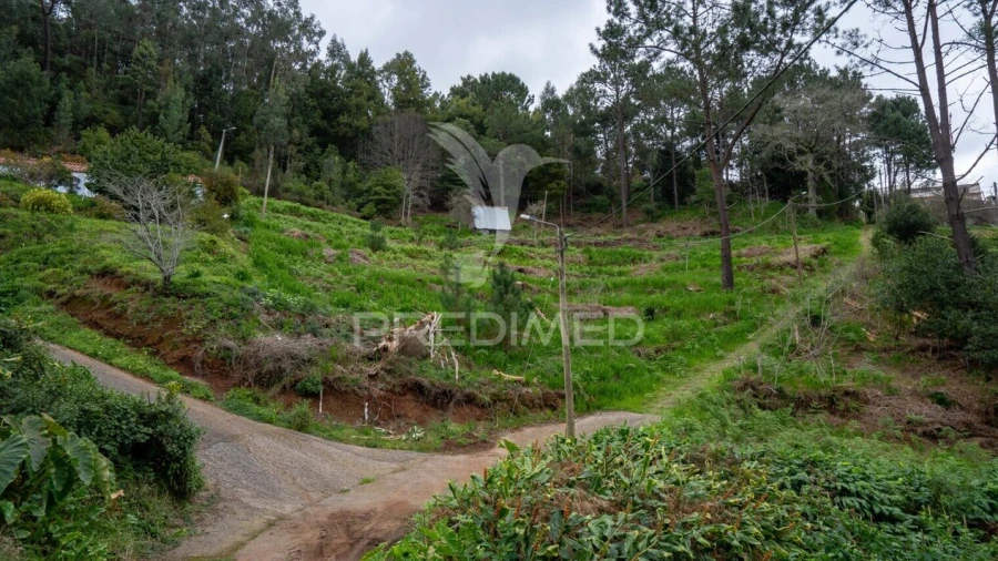 Terreno para Venda em Santo Antonio da Serra