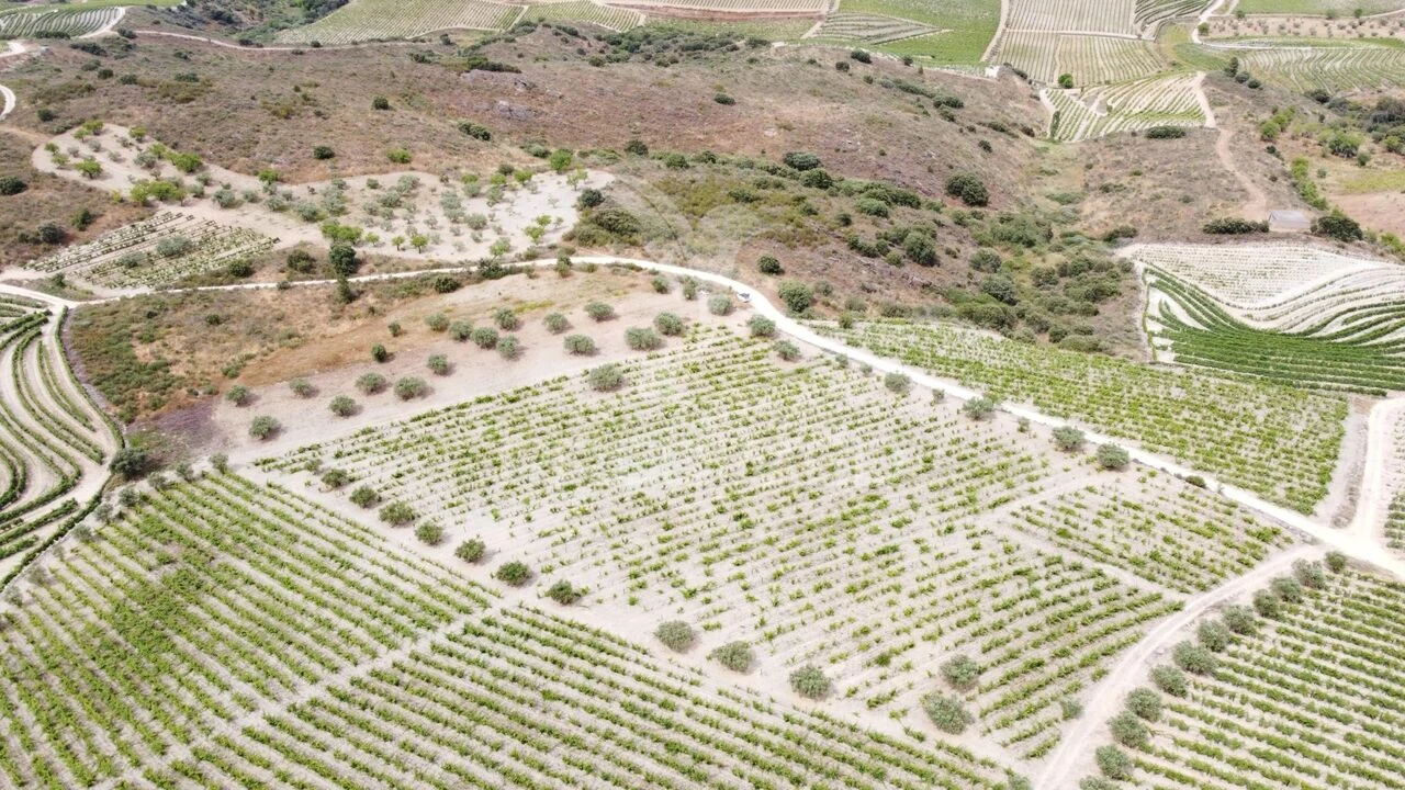 Terreno para Venda em Cedovim Foto 4