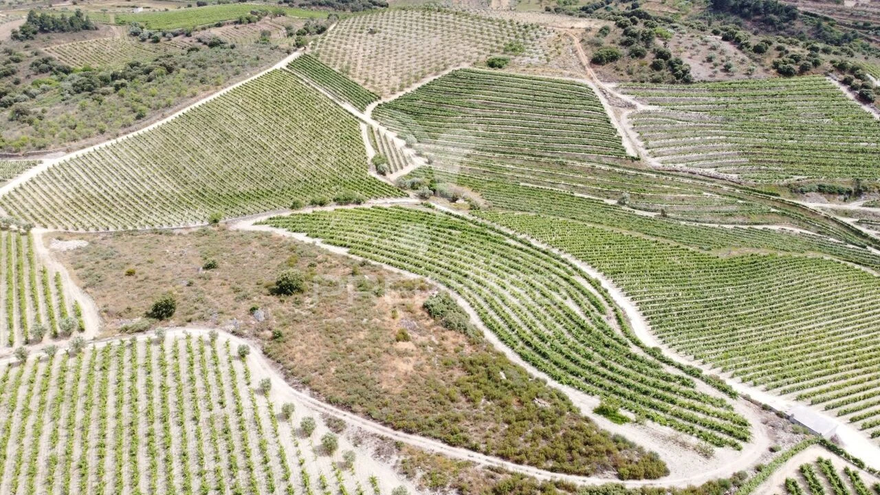 Terreno para Venda em Cedovim Foto 5