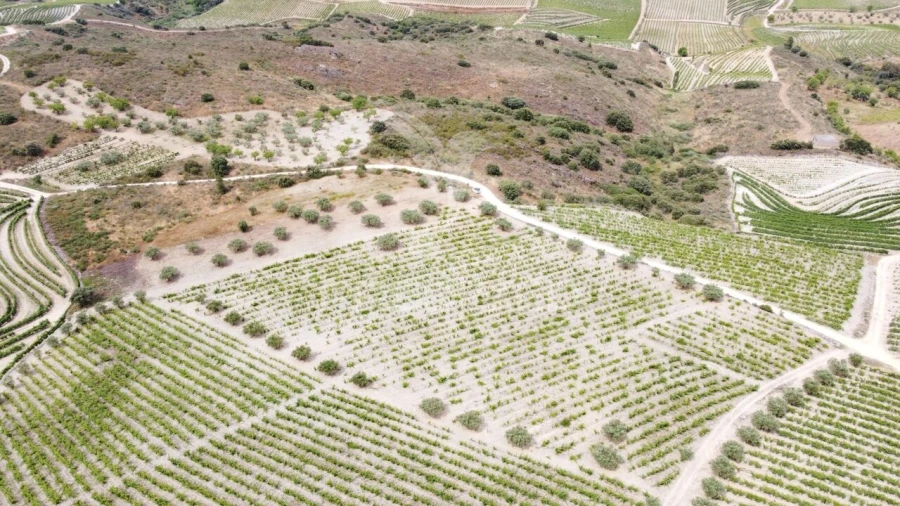 Terreno para Venda em Cedovim Foto 4