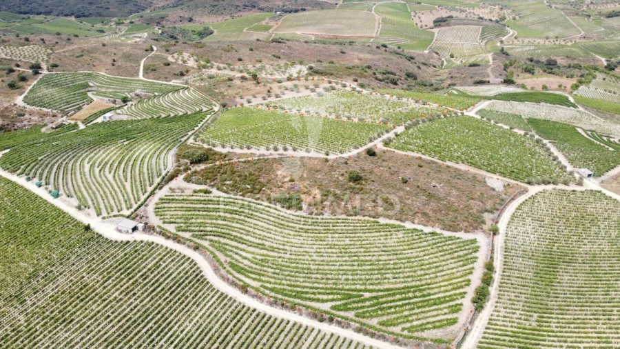 Terreno para Venda em Cedovim