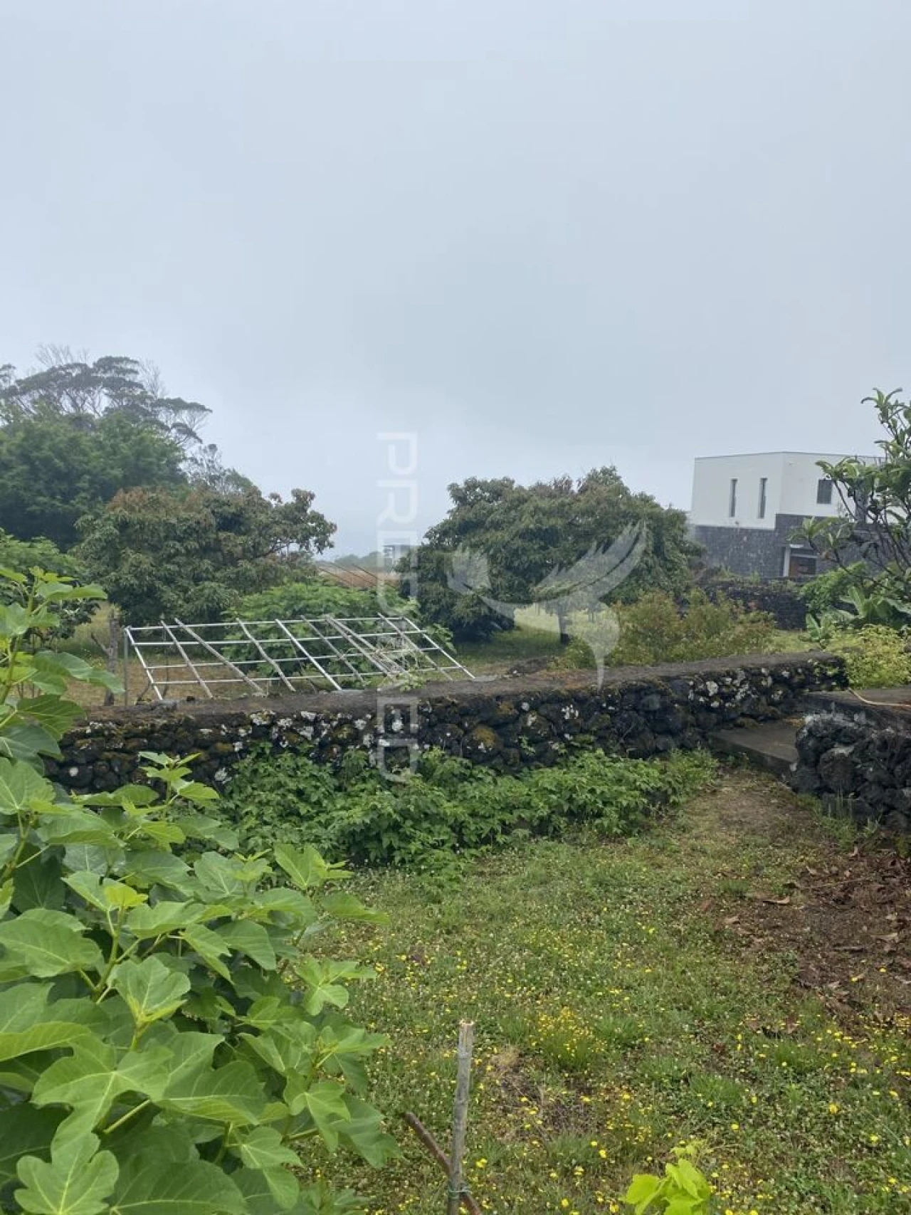 Moradia T3 para Venda em Urzelina (São Mateus) Foto 33