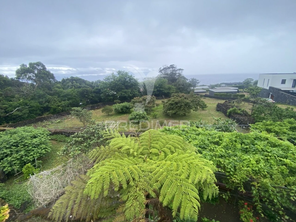 Moradia T3 para Venda em Urzelina (São Mateus) Foto 36
