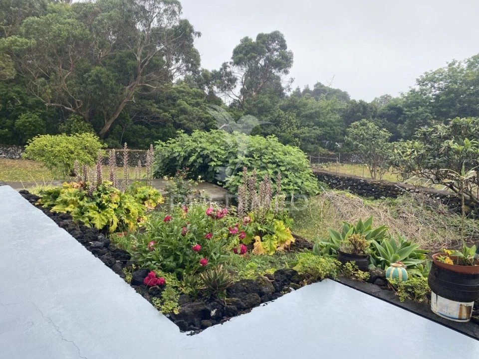 Moradia T3 para Venda em Urzelina (São Mateus) Foto 35