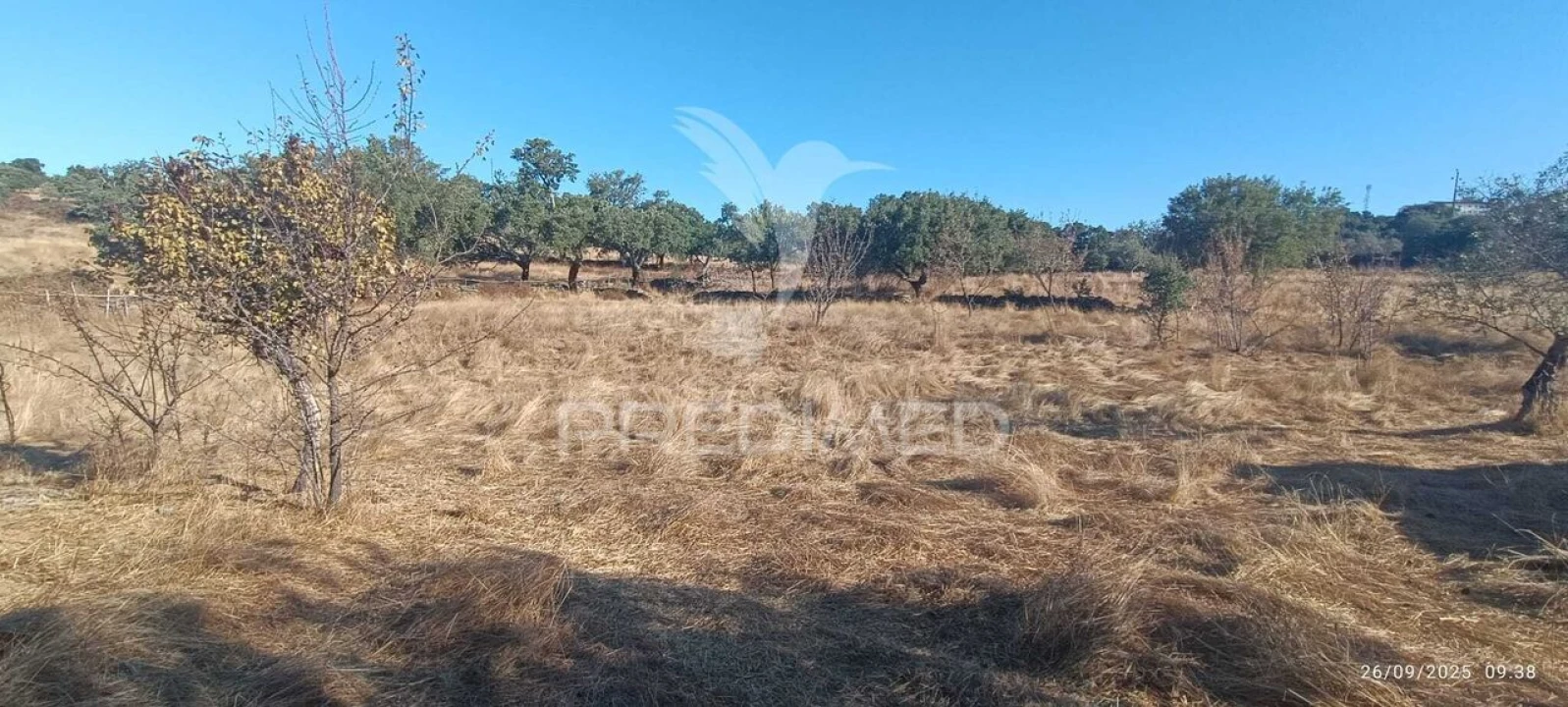 Terreno para Venda em Montalvão Foto 11