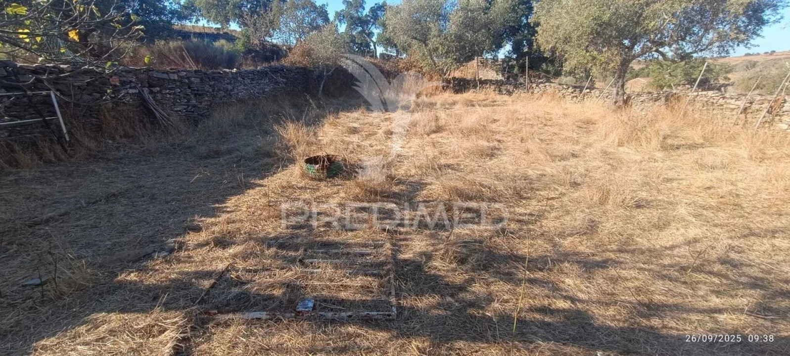 Terreno para Venda em Montalvão Foto 12