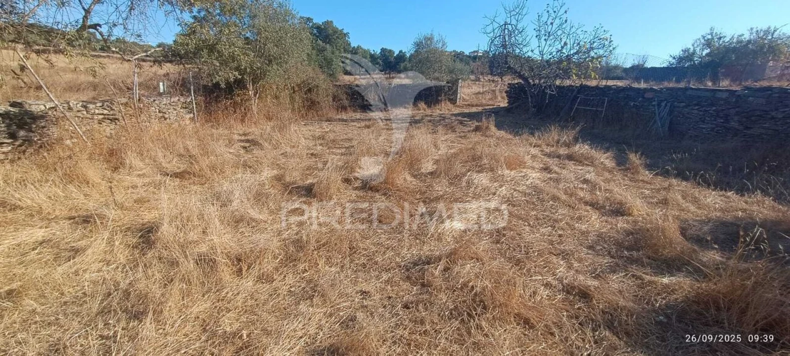 Terreno para Venda em Montalvão Foto 17