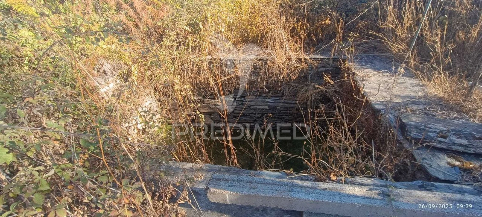 Terreno para Venda em Montalvão Foto 16