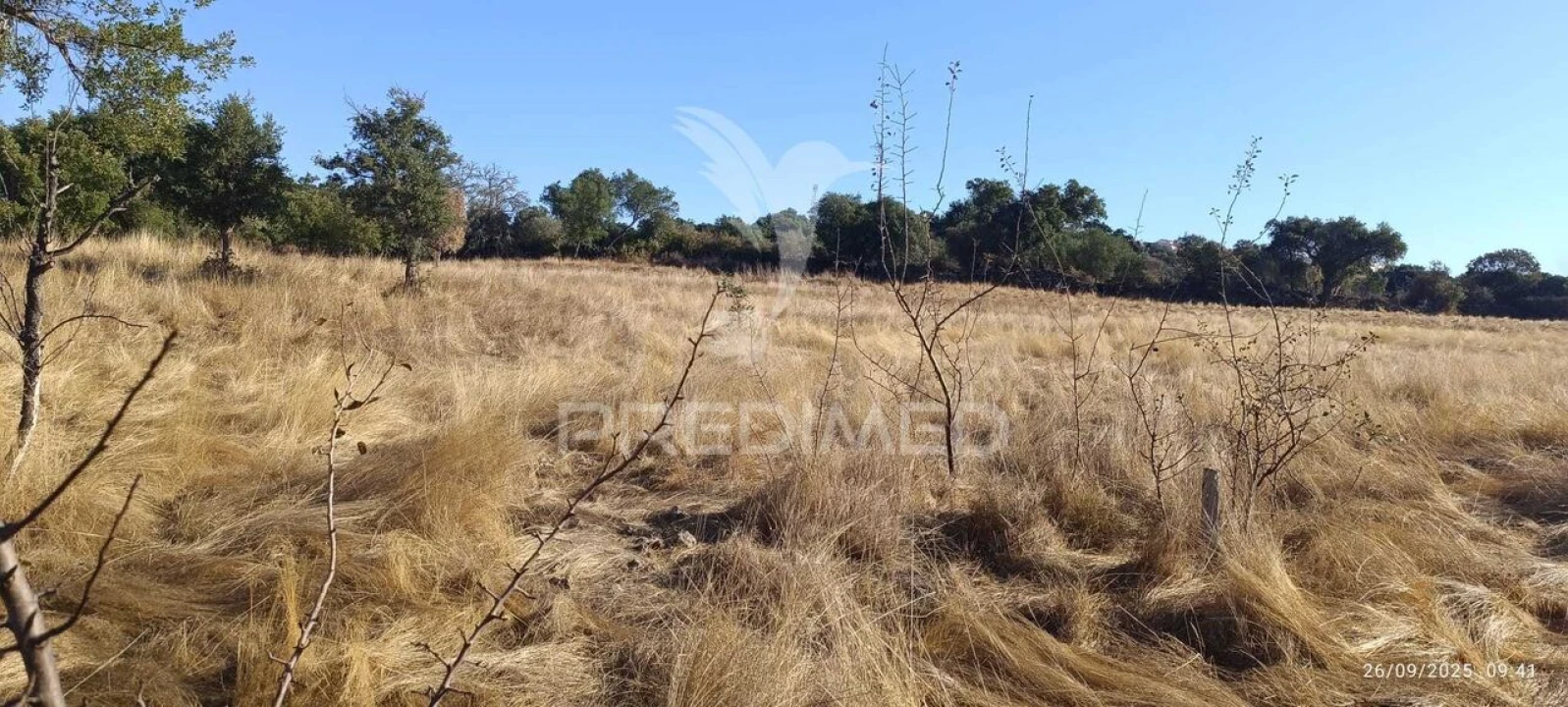 Terreno para Venda em Montalvão Foto 7