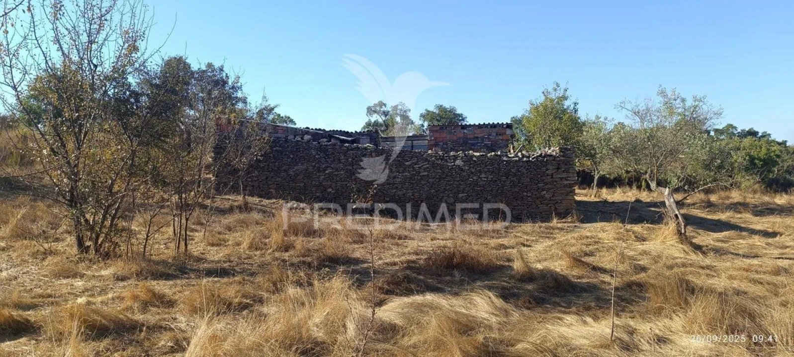 Terreno para Venda em Montalvão Foto 8