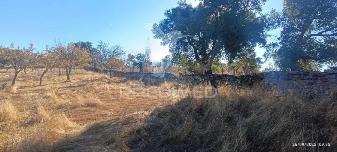 Terreno para Venda em Montalvão Foto 25
