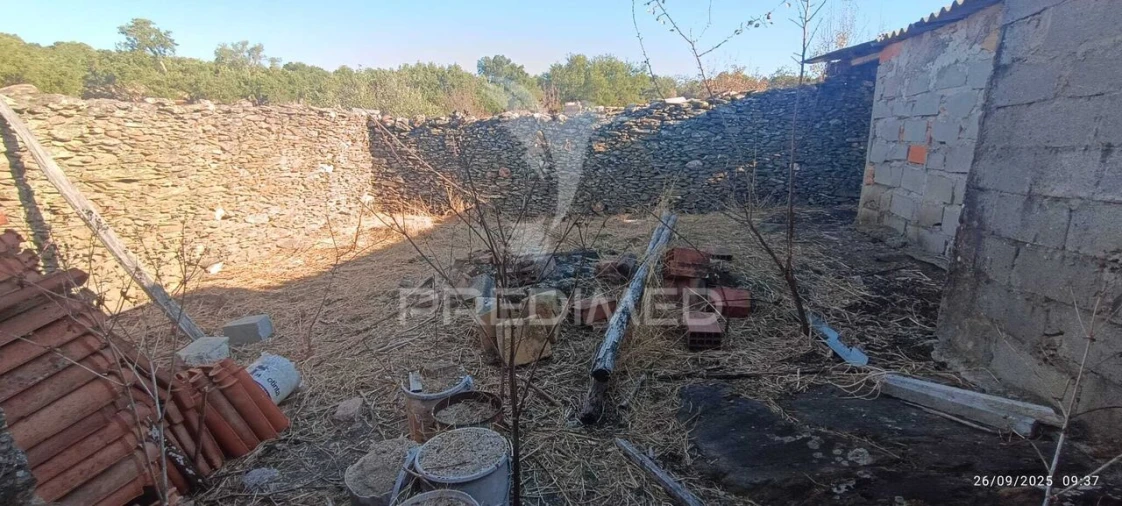 Terreno para Venda em Montalvão Foto 9