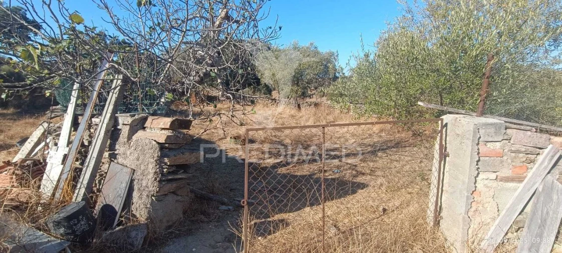 Terreno para Venda em Montalvão Foto 14