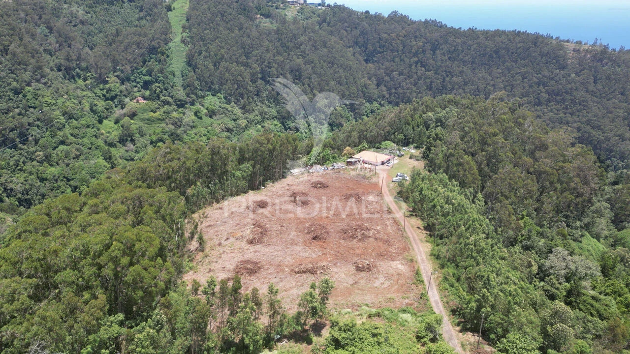 Terreno para Venda em Santo Antonio da Serra Foto 12