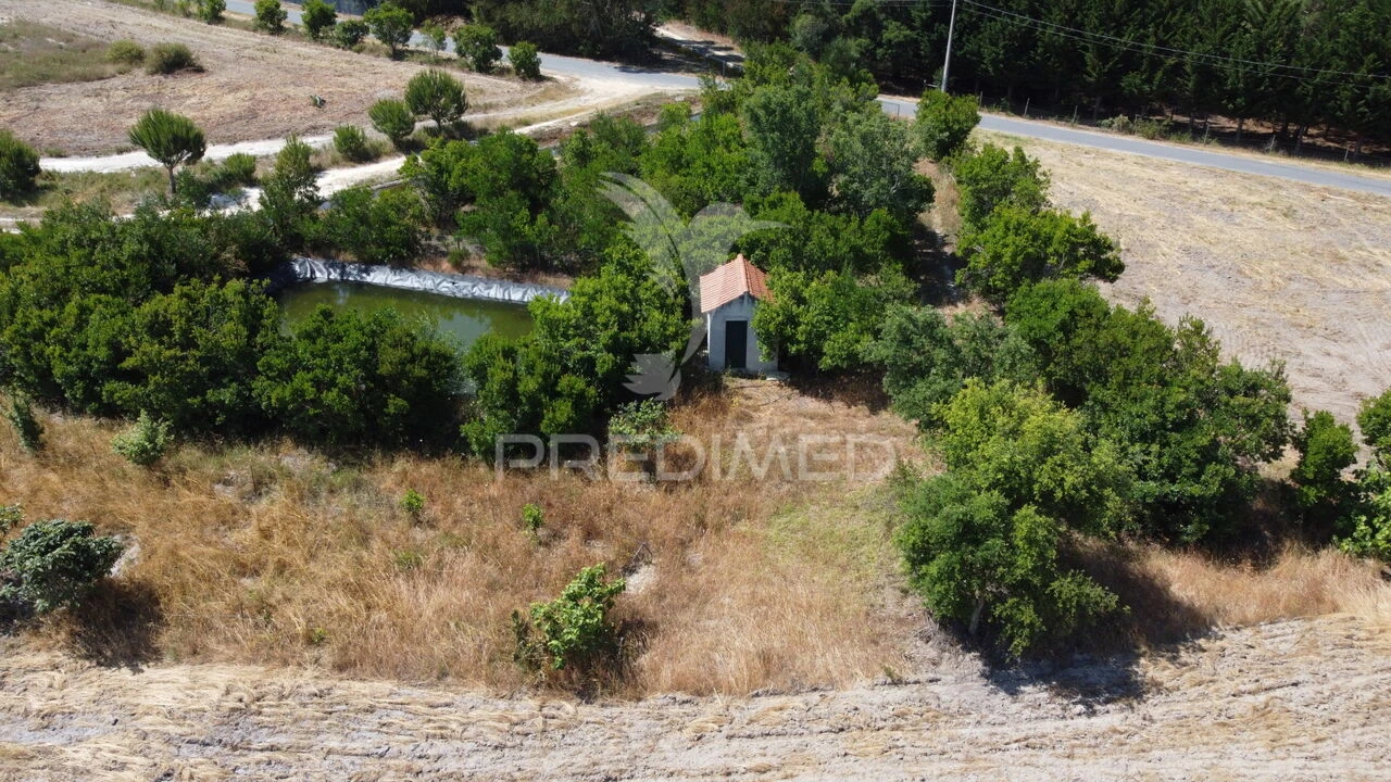 Terreno para Venda em Boavista dos Pinheiros Foto 7