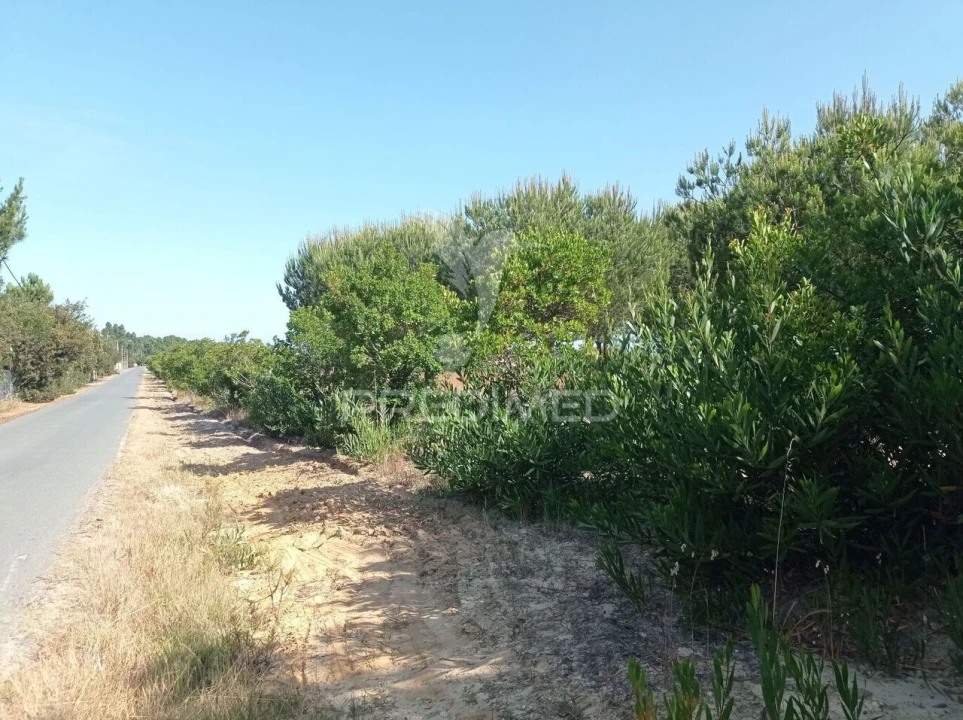 Terreno para Venda em Boavista dos Pinheiros Foto 16