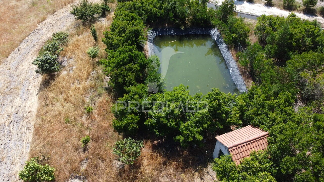 Terreno para Venda em Boavista dos Pinheiros Foto 8