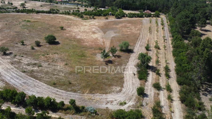 Terreno para Venda em Boavista dos Pinheiros Foto 6