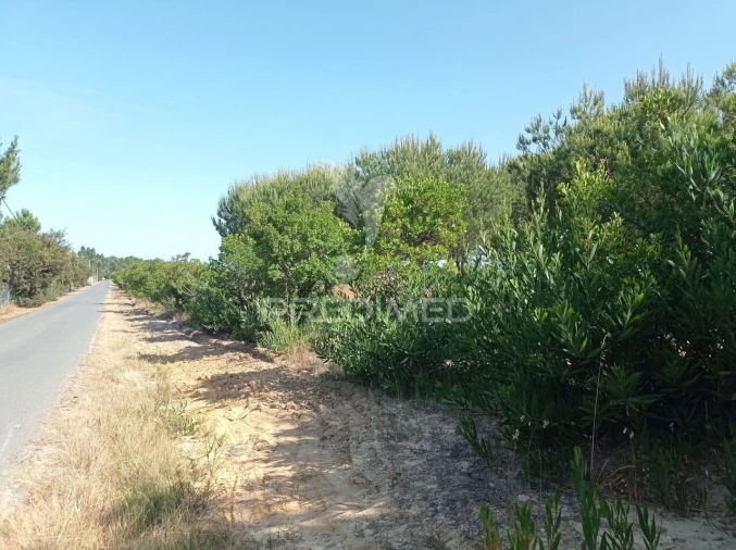 Terreno para Venda em Boavista dos Pinheiros Foto 16