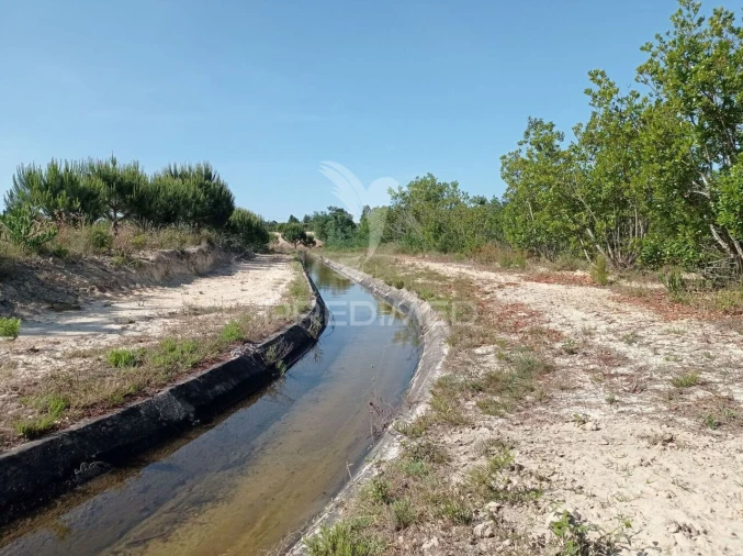 Terreno para Venda em Boavista dos Pinheiros Foto 11