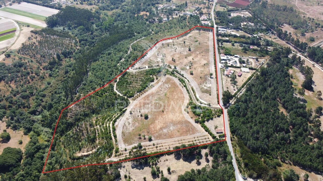 Terreno para Venda em Boavista dos Pinheiros Foto 2