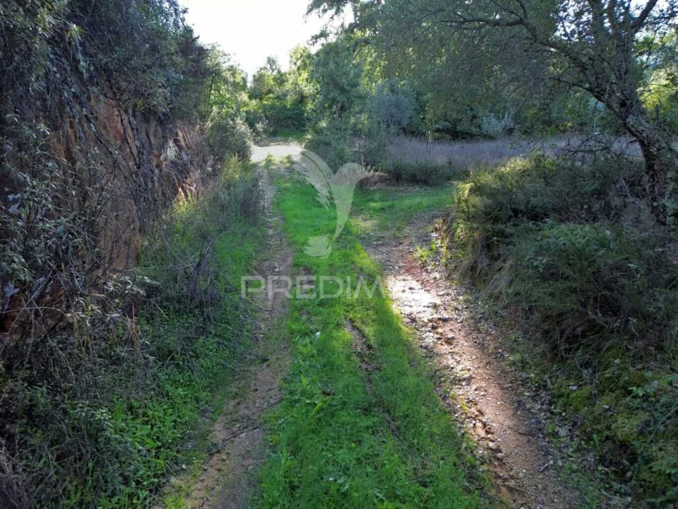 Terreno para Venda em Arneiro das Milhariças Foto 9