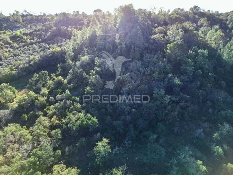 Terreno para Venda em Arneiro das Milhariças Foto 25