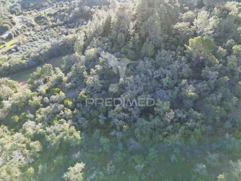 Terreno para Venda em Arneiro das Milhariças Foto 24
