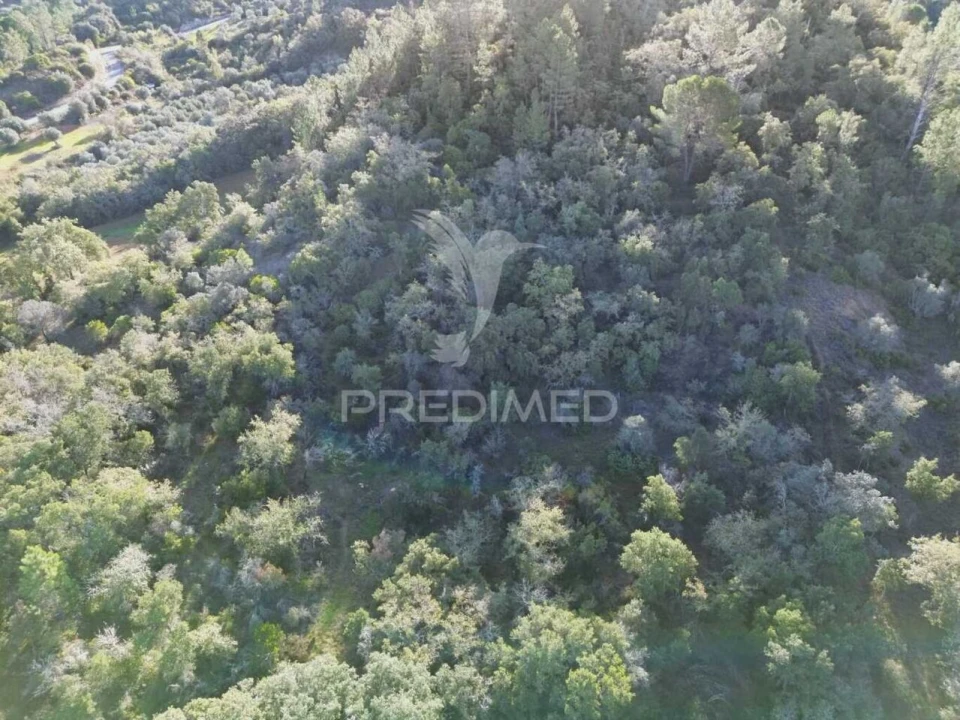 Terreno para Venda em Arneiro das Milhariças Foto 11