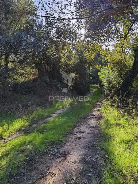 Terreno para Venda em Arneiro das Milhariças