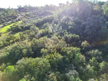 Terreno para Venda em Arneiro das Milhariças