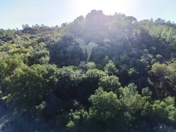 Terreno para Venda em Arneiro das Milhariças