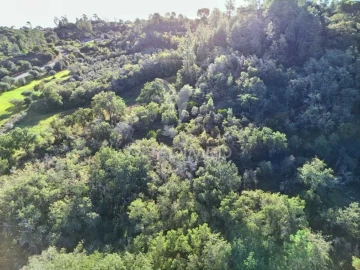 Terreno para Venda em Arneiro das Milhariças