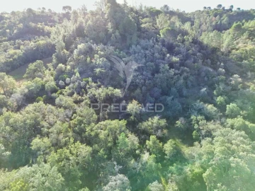 Terreno para Venda em Arneiro das Milhariças