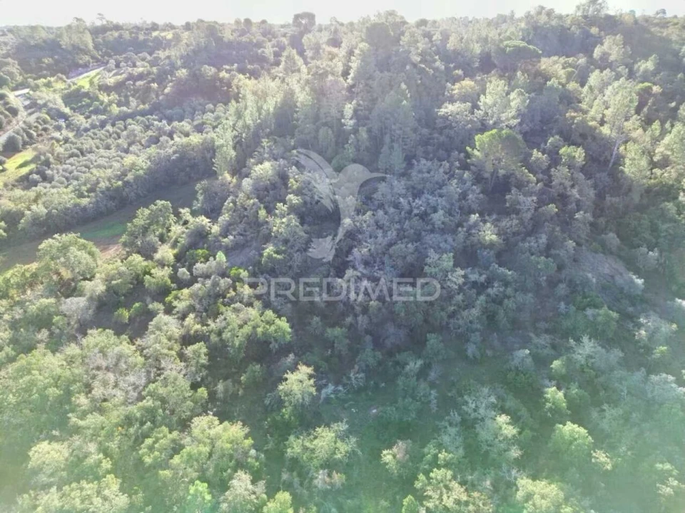 Terreno para Venda em Arneiro das Milhariças Foto 20