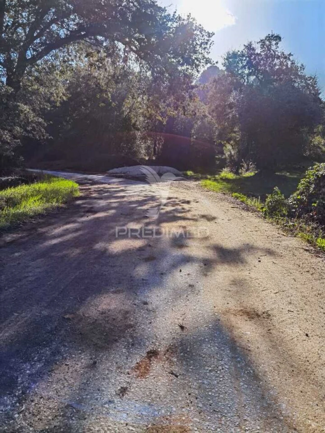 Terreno para Venda em Arneiro das Milhariças Foto 4