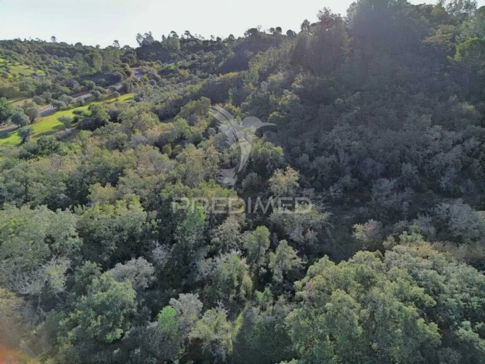 Terreno para Venda em Arneiro das Milhariças Foto 23