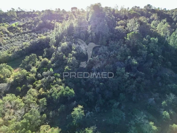 Terreno para Venda em Arneiro das Milhariças Foto 25