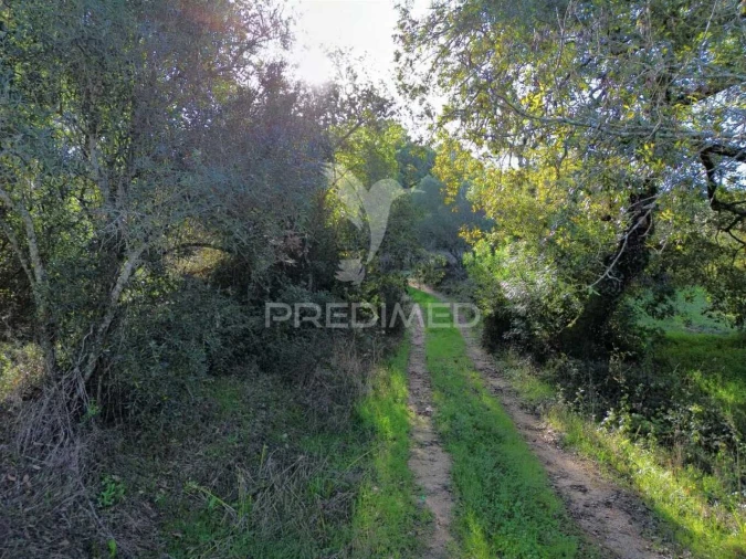 Terreno para Venda em Arneiro das Milhariças Foto 6