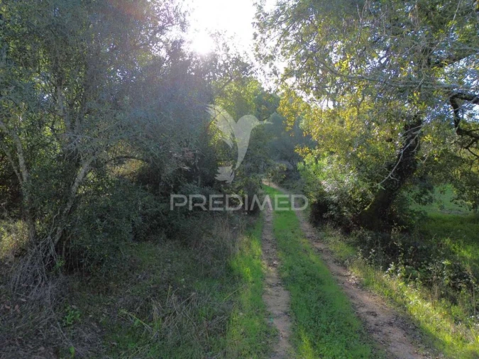 Terreno para Venda em Arneiro das Milhariças Foto 2