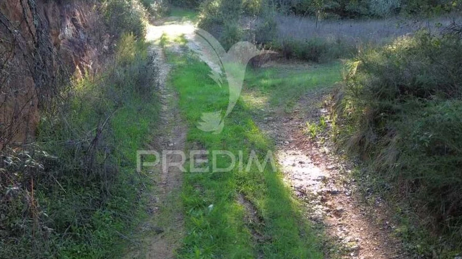 Terreno para Venda em Arneiro das Milhariças