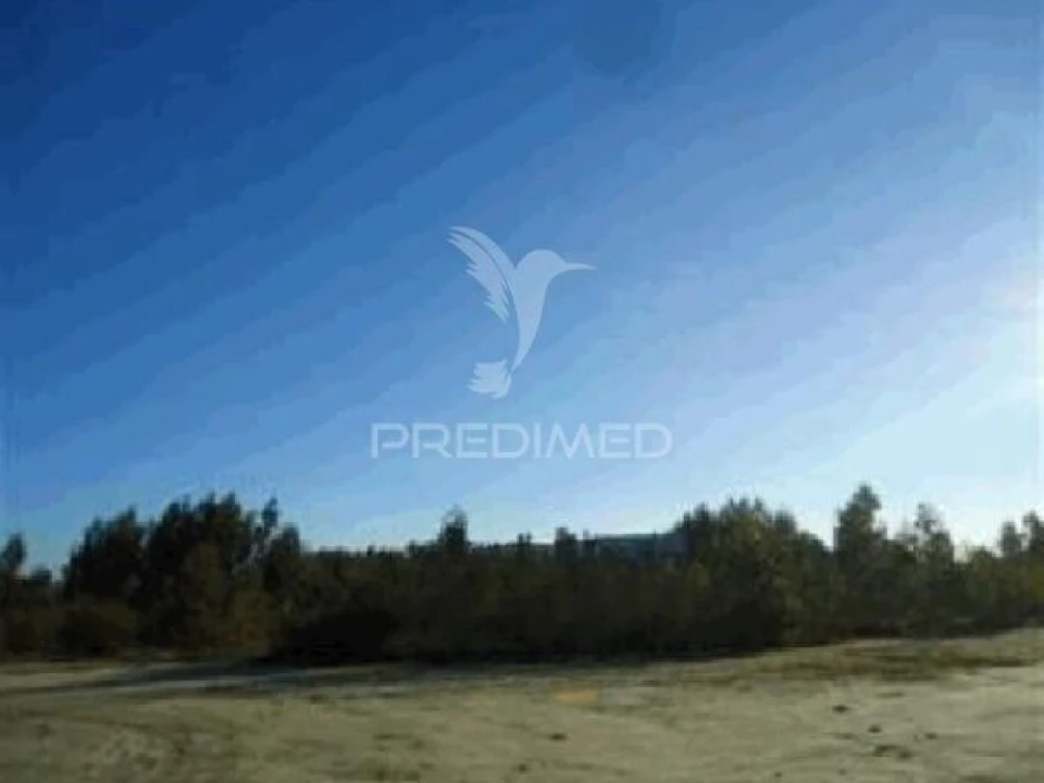 Terreno para Venda em Seroa Foto 4