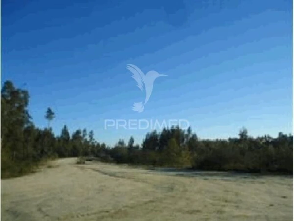 Terreno para Venda em Seroa Foto 5