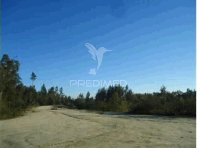 Terreno para Venda em Seroa Foto 5