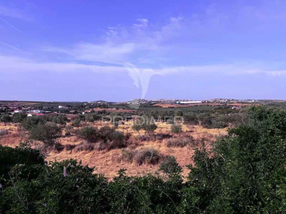 Quinta T8 para Venda em Assunção, Ajuda, Salvador e Santo Ildefonso Foto 37