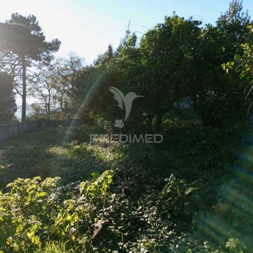 Moradia T3 para Venda em Sever do Vouga Foto 40