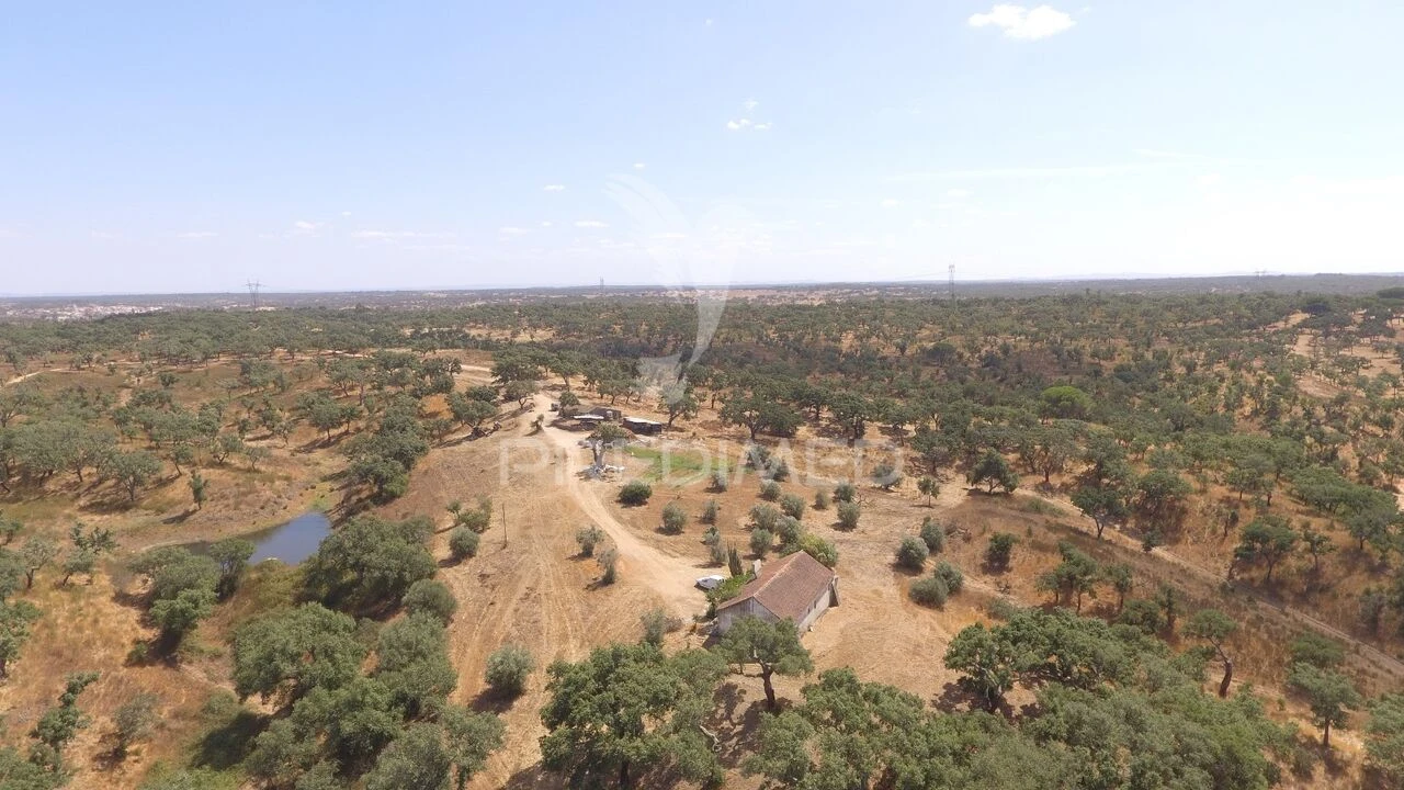 Quinta T3 para Venda em Abela Foto 39